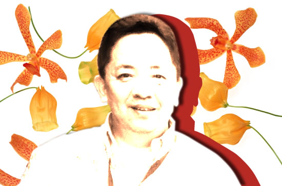 ハリー田西